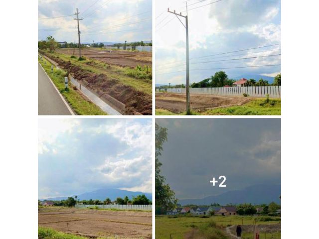 ขายที่ดินหน้าหมู่บ้านวังตาลสันผักหวานพร้อมโอน