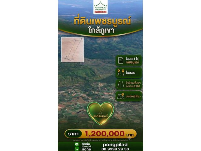 ขายที่ดินใกล้ทางขึ้นเขาค้อ เพชรบูรณ์ โฉนด 4 ไร่ ในซอย