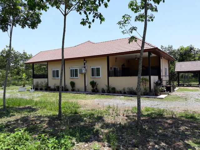 ขายที่ดิน+บ้าน 65ไร่