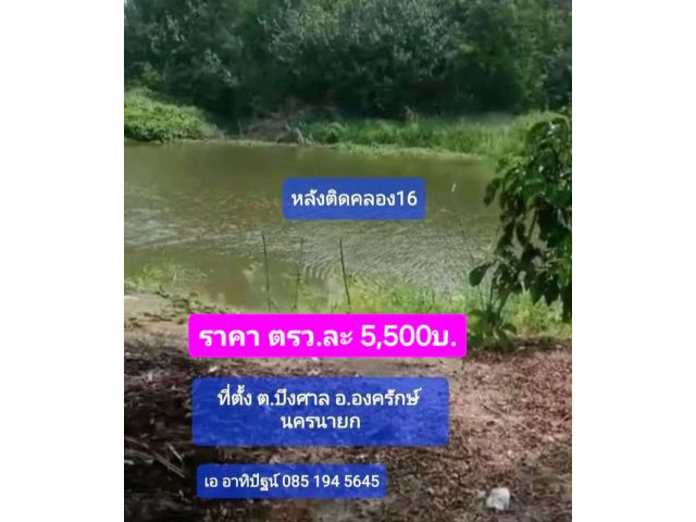 ขายที่ติดคลอง16 หน้าติดถนน3022 เนื้อที่ 3-2-92ไร่ บึงศาล องครักษ์ นครนายก