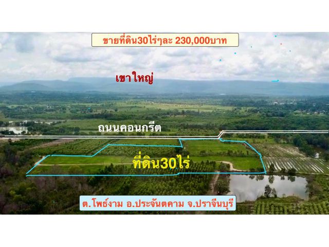 ขายที่ดิน30ไร่ ติดถนนคอนกรีต ใกล้ถนนสุวรรณศร  อยู่หมู่บ้านไทรงาม ต.โพธิ์งาม อ.ประจันตคาม จ.ปราจีนบุรี