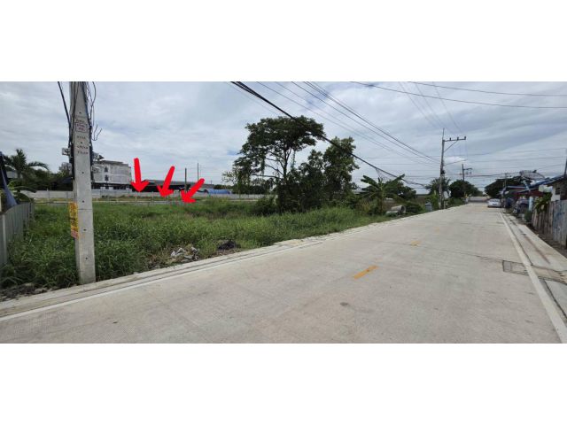 ขายที่ดิน คลอง9 99 ตรว. ซ.ศาลเจ้าพ่อดอนใหญ่ ถ.รังสิต นครนายก