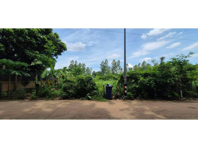 ขายที่ดินสวยแปลงใหญ่ ศรีมหาโพธิ ปราจีนบุรี 1 งาน 16 ตร.ว. โฉนดครุฑแดงเหมาะสร้างบ้าน!