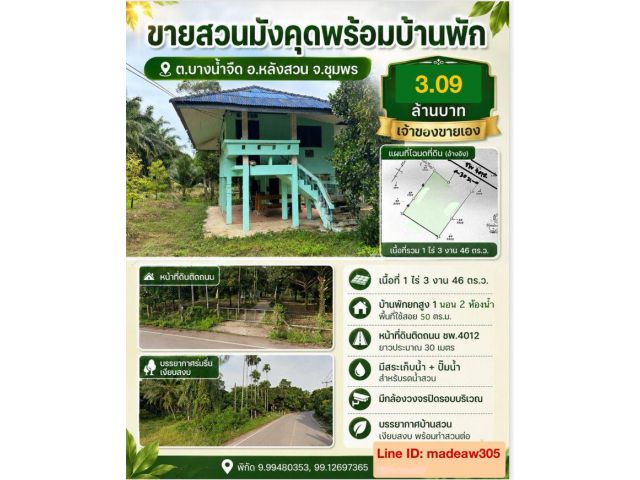 ขายสวนมังคุดพร้อมบ้านพัก ต.บางนําจืด อ.หลังสวน จ.ชุมพร