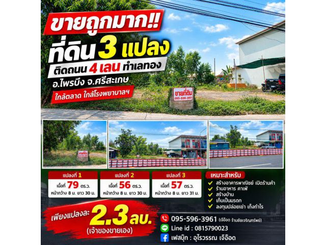 ขายถูกมาก!! ที่ดิน 3 แปลง 56 57 79 ตร.ว. ติดถนน 4 เลน ทำเลทอง อ.ไพรบึง จ.ศรีสะเกษ ใกล้ตลาด โรงพยาบาลฯ