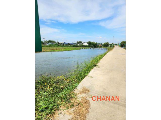 ขายที่ดิน ถ.ตำหรุ บางพลี ซ.ศรีสัมพันธ์3 เนื้อที่259ตรว