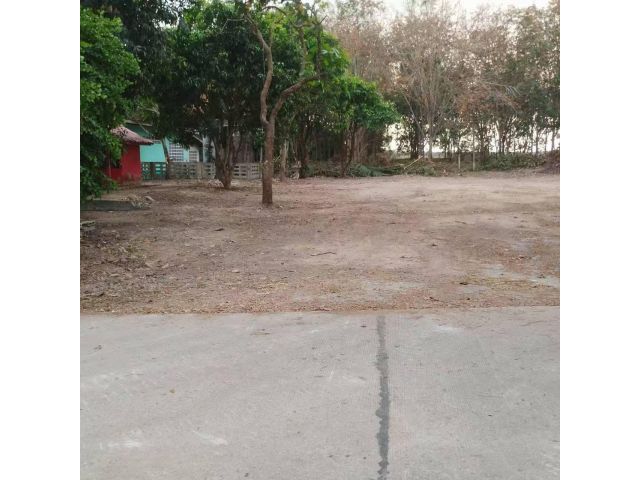 ให้เช่าที่ดิน 2งาน นิคมพัฒนา ซ.13 ติดถนน หน้ากว้าง มีไฟฟ้า มีน้ำ _ ตู้ออฟฟิศ ตู้สำนักงาน ลานจอด