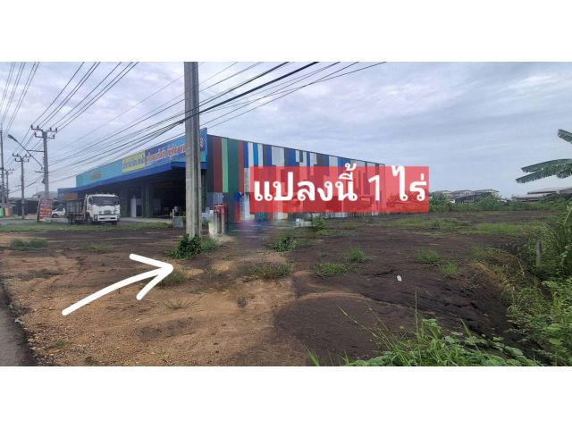 ●○●○●ที่ดิน ติดถนนไทรน้อย-วัดต้นเชือก ถมแล้ว 1 ไร่ ทำเลค้าขาย●○●○● ไร่