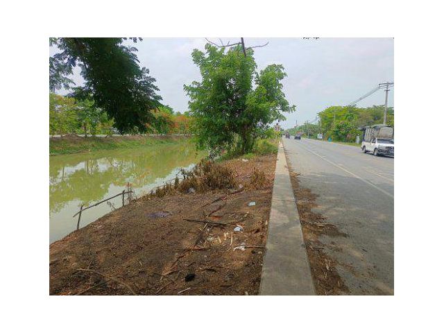 ขายที่ดิน 74 ไร่ คลองสาม อ.คลองหลวง จ.ปทุมธานี