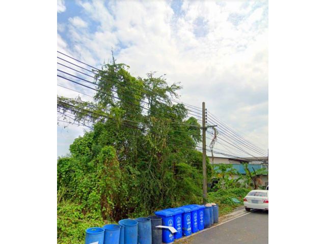 ขายที่ดิน พื้นที่สีม่วง ถ.เทพารักษ์ กม19 ซ.ไทยประกัน1แยก8 เนื้อที่186ตรว