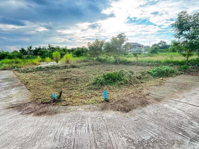 ขายที่ดินตำบลสันปูเลยดอยสะเก็ตหลังเทศบาลสันปูเลยพร้อมโอน