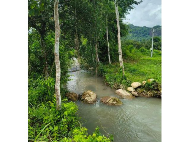 ขายที่ดินติดลำธารปางพลีนาหินลาดนครนายกพร้อมโอน
