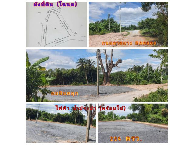 (โฉนด) ที่ดิน 224 ตรว. (พร้อมถม) และ ต้นไม้ใหญ่ หน้าติดถนนลาดยาง คลองน้ำ ไฟฟ้า น้ำประปา (พร้อมใช้) ม.10 ต.ดอนคา อ.อู่ทอง จ.สุพรรณบุรี