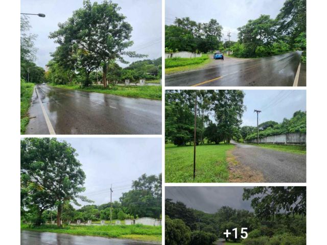 #*ขายที่ดินแปลงสวยๆ23ไร่.อยู่ดินถนนใหญ่สายหางดง-สะเมิง ต.บ้านปง ที่ดินพัฒนาแล้วไม่รกร้างสาธารณูปโภคครบ"เหมาะทำเป็นรีสอร์ท