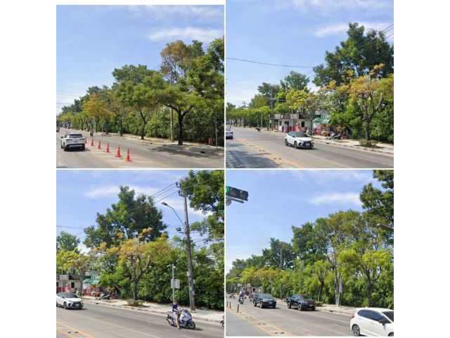 ขายที่ดินเปล่าถมแล้ว 4-0-64 ไร่ ติดถนน เฉลิมพระเกียรติ ร.9 ใกล้สวนหลวง ร.9 แขวงหนองบอน เขตประเวศ กทม.