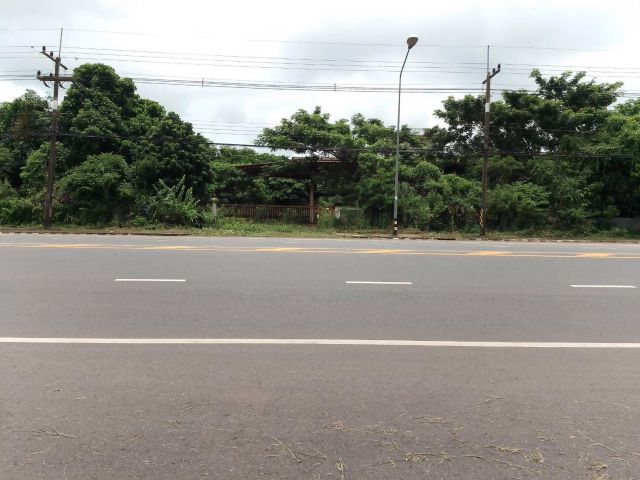 ขายที่ดิน 29 ไร่ ถนนพังโคน-บึงกาฬ ต.ไฮหย่อง อ.พังโคน จ.สกลนคร