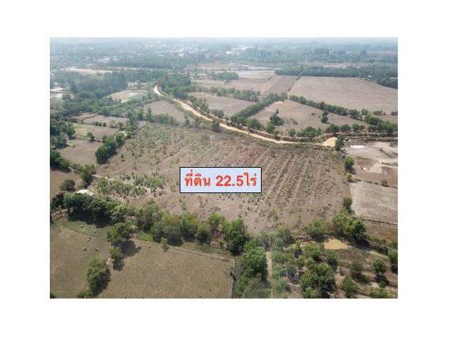 ขายที่ดิน 22 ไร่ ต.ประจันตคาม อ.ประจันตคาม จ.ปราจีนบุรี