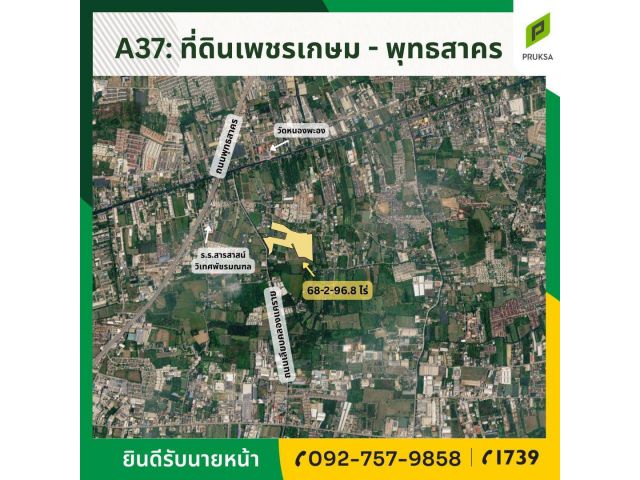 ขายที่ดินแปลงสวยพุทธสาคร พร้อมโอน