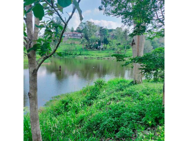 ด่วนที่สุด ขายที่ดินติดน้ำที่สวยที่สุดใน อ เขาค้อ สำหรับสร้างรีสอร์ท จำนวน 2 ไร่ 2 งาน
