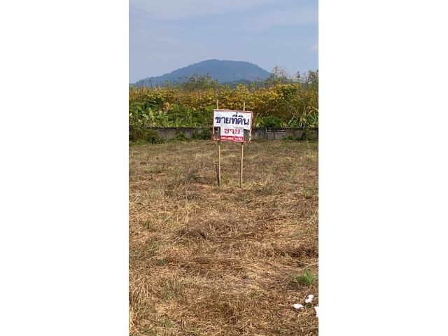ขายที่ดิน1ไร่2งาน อยู่ บางบุตร บ้านค่าย ระยอง