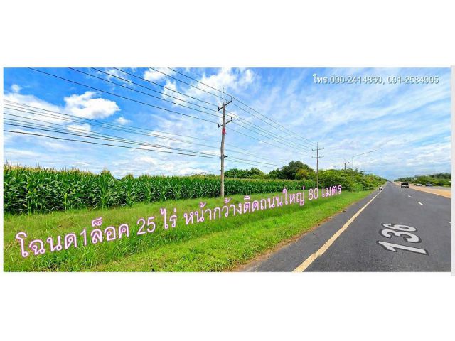ขายถูกที่ดินใกล้ตลาดซอย12 หน้ากว้างติดถนนใหญ่ 3017 เนื้อที่ 25 ไร่ ยกแปลง 25 ลบ฿