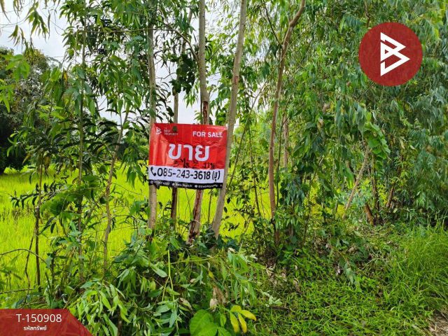 ขายที่ดิน เนื้อที่ 3 ไร่ 2 งาน ธวัชบุรี ร้อยเอ็ด