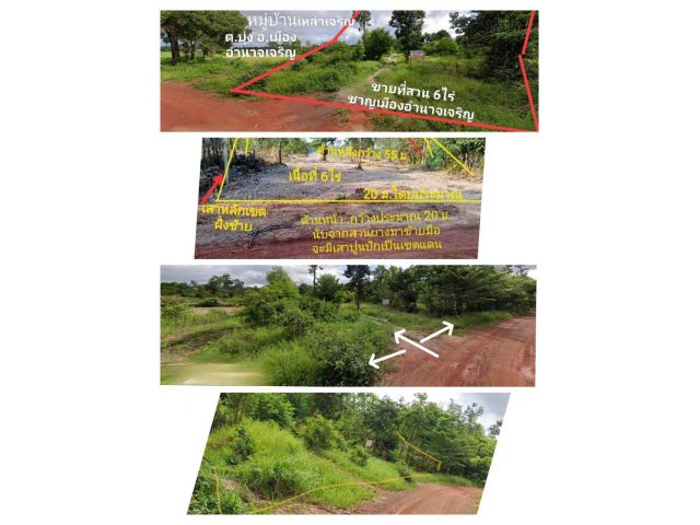 ขายสวนชานเมืองอำนาจเจริญ 6 ไร่ มีน้ำมีไฟฟ้า ติดถนนลูกรัง