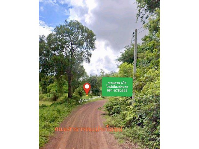ขายสวนชานเมืองอำนาจเจริญ 6 ไร่ มีน้ำมีไฟฟ้า ติดถนนลูกรัง