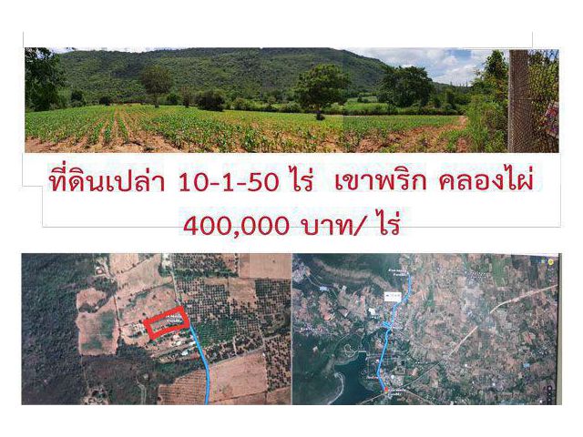 ขายที่ดินเปล่า 10 ไร่ วิวเขาพริกสวยมาก เหมาะทำรีสอร์ท เกษตรพอเพียง