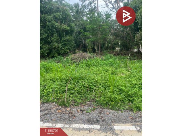 ขายที่ดิน เนื้อที่ 3 งาน 85 ตร.วา บางสะพาน ประจวบคีรีขันธ์