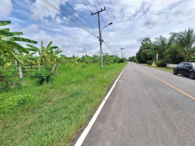 ขายที่ดินติดถนนคอนกรีตค้าขายได้สันกำแพงพร้อมโอน