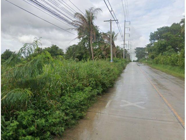ขายที่ดินหนองเลง หนองขาม 4 ไร่ ติดถนนคอนกรีต ใกล้นิคมปิ่นทอง2-9กม. อ.ศรีราชา ชลบุรี