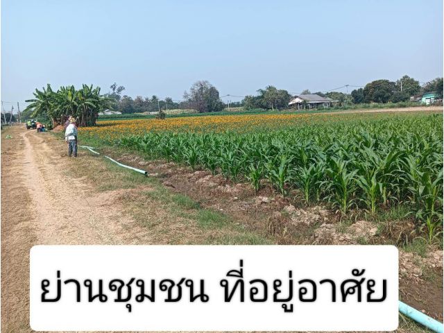 เหมาะสมยังงัย หากไม่ไปอาจจะไ่รู้ ว่ามีแปลงดีๆรออยู่ มีให้เห็นเป็นที่ประจักษ์ อยากแนะนำซึ่งทำเล