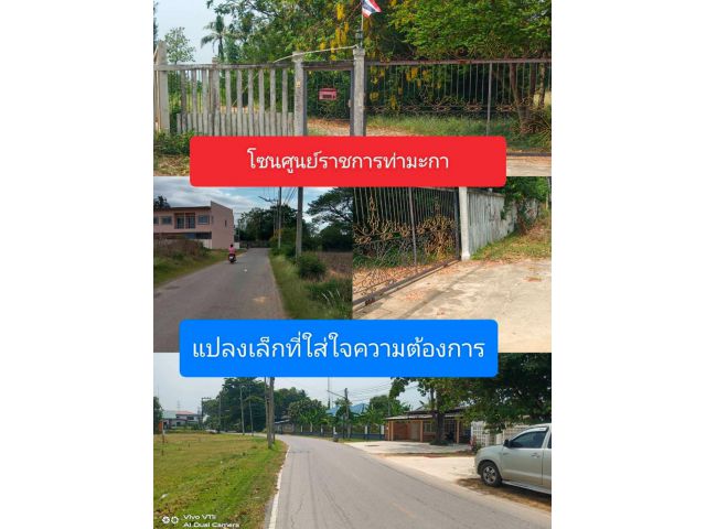 แพงครับสำหรับแปลงนี้ มีความคุ้มค่าที่หาไม่ได้ง่ายๆจึงอยากใคร่นำเสนอแปลงที่สมบูรณ์แบบ ที่อยู่ในย่านศูนย์ราชการ อ.ท่ามะกา
