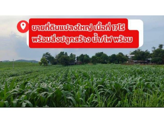 ขายที่ดินแปลงใหญ่ ห่างจากถนนมิตรภาพ 17กม. พร้อมสิ่งปลูกสร้าง น้ำ/ไฟ ครบ พร้อมใช้งาน