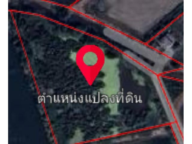 ขาย8ไร่