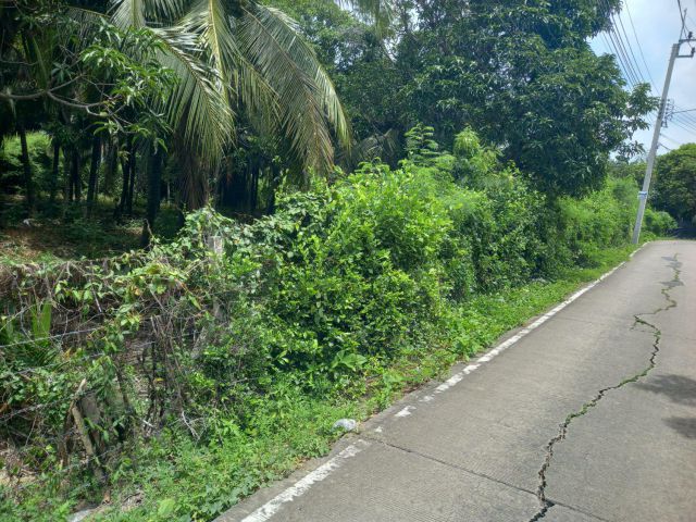 ขายที่ดิน