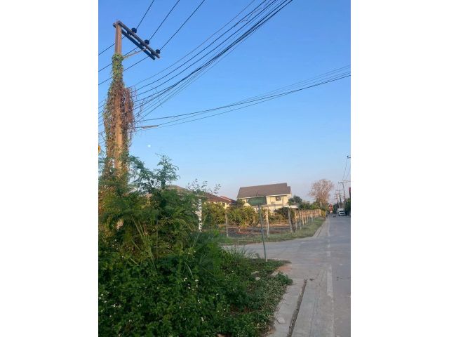 ขายที่ดินตำบลแม่เหียะ กลางเมืองเชียงใหม่