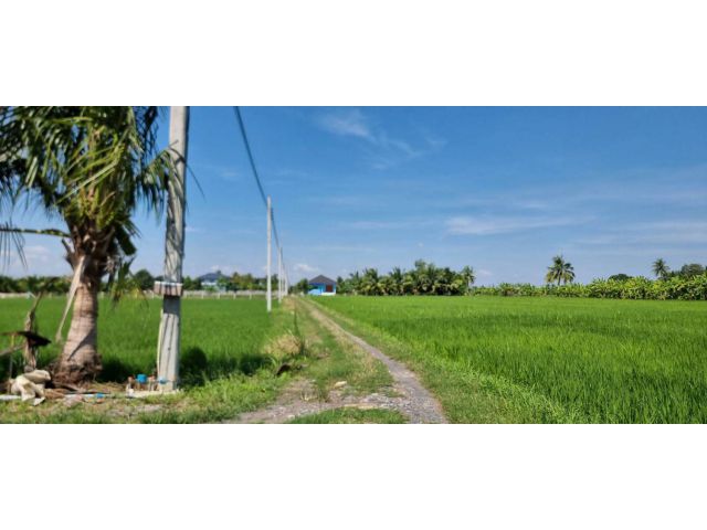 ขายที่ดิน 1 ไร่ ใกล้สุวรรณภูมิ ขุมทอง , เขตลาดกระบัง , กรุงเทพมหานคร