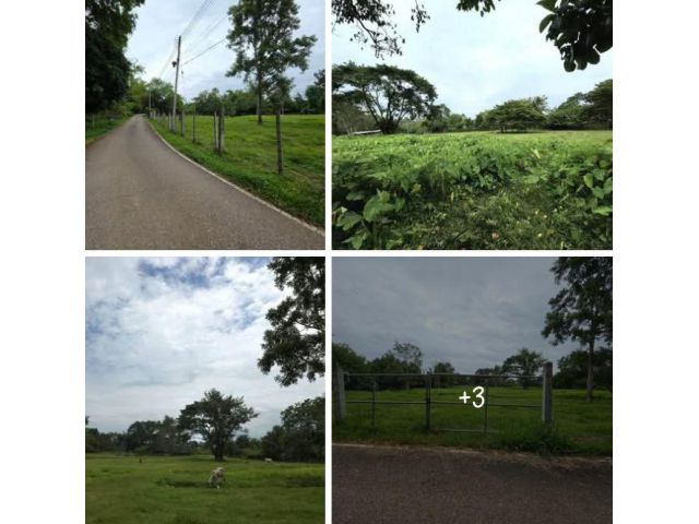 ขายที่สวนพัฒนาใกล้น้ำพุร้อนแล้วห้วยแก้วแม่ออนเชียงใหม่