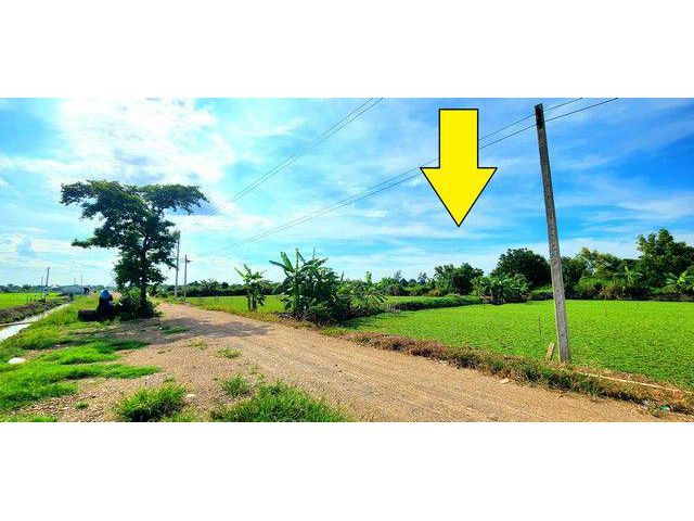 ขายที่ดิน คลอง 12 หนองเสือ 200 ตรว ติดถนน 8 ม. เหมาะปลูกบ้านสวน ทำเกษตรพอเพียงได้ อยู่ใกล้แหล่งชุมชน