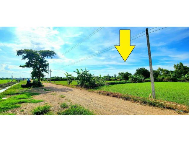 ขายที่ดินหนองเสือ 200 ตรว ราคาถูก