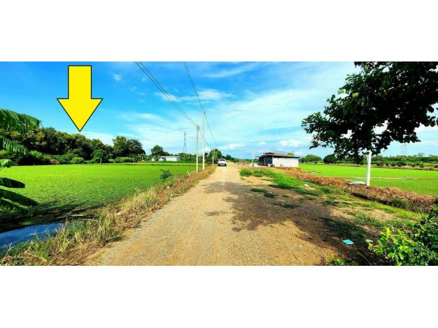 ขายที่ดินหนองเสือ ปทุมธานี ราคาถูก