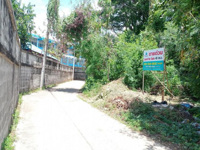 ขายที่ดิน 45 ตร.ว. ทำเลในเมืองขอนแก่น ต.ในเมือง อ.เมืองขอนแก่น