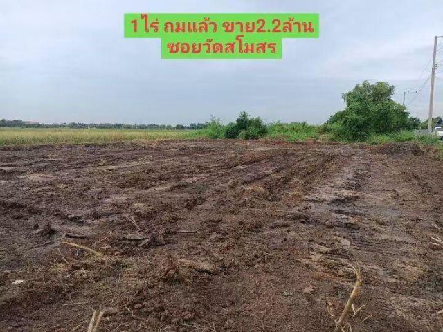 1ไร่ กลบไว้ ขาย2.2ล้าน ซอยวัดสโมสร เข้าซอยย่อยประมาณ500m วิวทุ่งนา อากาศดี (งดนายหน้า)