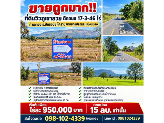 ขายถูกมาก!! ที่ดินวิวภูเขาสวย ติดถนน 17-3-46 ไร่ ทำเลทอง อ.ปักธงชัย โคราช ขายยกแปลงและแบ่งแปลง