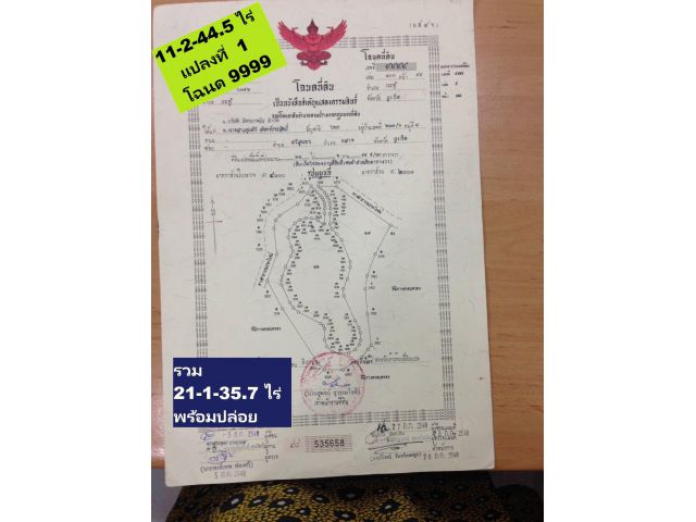 ขายที่ดินภูเก็ต Phuket แปลงสวย 21-1-35.7 ไร่ RAI Kathu - Patong อ.กะทู้-ป่าตอง แปลงสุดท้าย ท้ายสุด สร้างบ้านเดี่ยวหรูๆระ