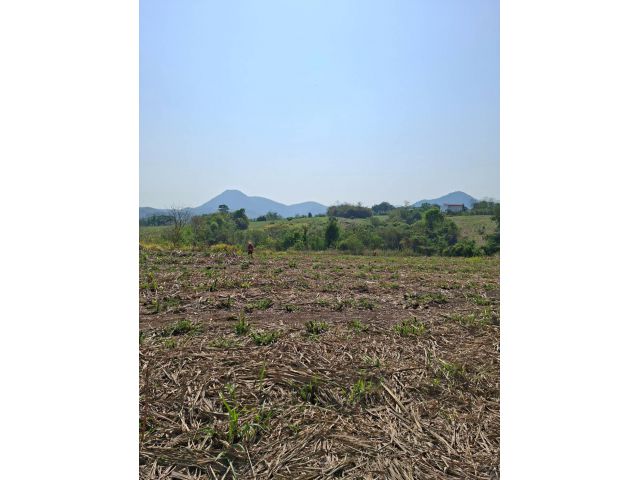 ที่ดินราคาถูกมาก!! ี่ โฉนด ติดถนนลาดยางอ.ท่าลี่ 34 ไร่ ๆละ160,000 เหมาะกับบ้านสวน บ้านพักตากอากาศมาก