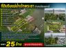 ที่ดินริมแม่น้ำเจ้าพระยา 25ล้าน