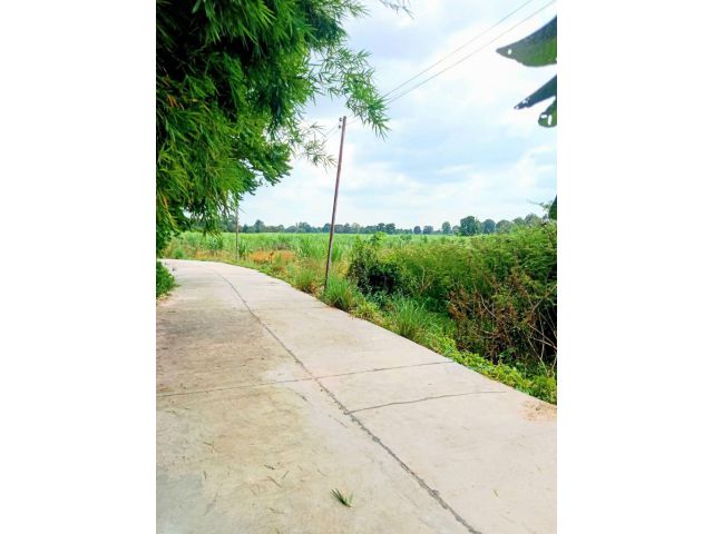 ที่ดินเปล่า โฉนด ติดถนนคอนกรีต ใกล้ถนนสายหลัก บุรีรัมย์ ราคาถูก